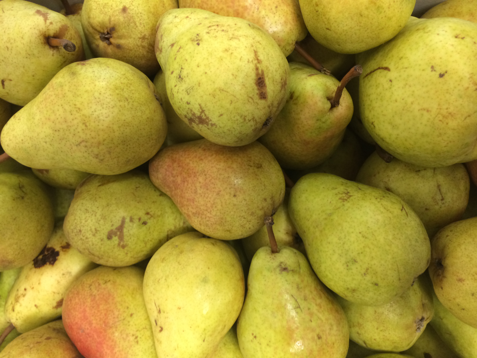 imperfect-pears-bartlett
